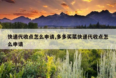 快递代收点怎么申请,多多买菜快递代收点怎么申请