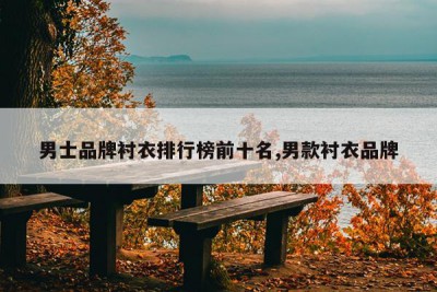 男士品牌衬衣排行榜前十名,男款衬衣品牌