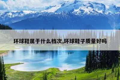 环球鞋属于什么档次,环球鞋子质量好吗