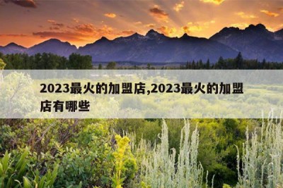 2023最火的加盟店,2023最火的加盟店有哪些
