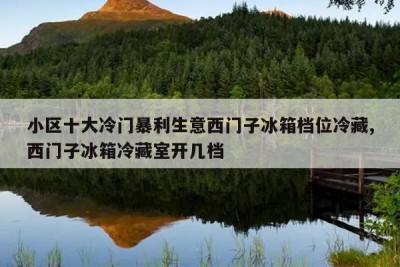 小区十大冷门暴利生意西门子冰箱档位冷藏,西门子冰箱冷藏室开几档