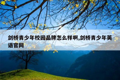 剑桥青少年校园品牌怎么样啊,剑桥青少年英语官网