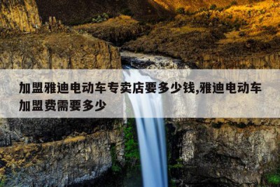 加盟雅迪电动车专卖店要多少钱,雅迪电动车加盟费需要多少