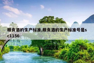 粮食酒的生产标准,粮食酒的生产标准号是sc1156