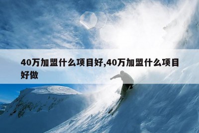 40万加盟什么项目好,40万加盟什么项目好做