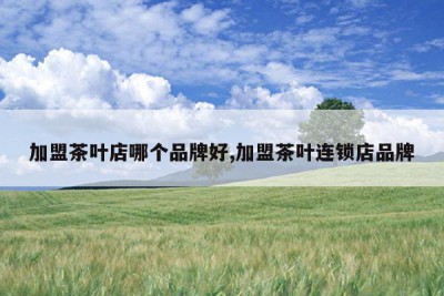 加盟茶叶店哪个品牌好,加盟茶叶连锁店品牌