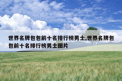 世界名牌包包前十名排行榜男士,世界名牌包包前十名排行榜男士图片