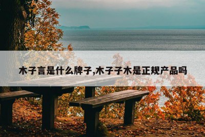 木子言是什么牌子,木子子木是正规产品吗