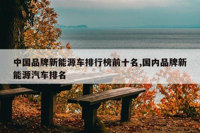 中国品牌新能源车排行榜前十名,国内品牌新能源汽车排名