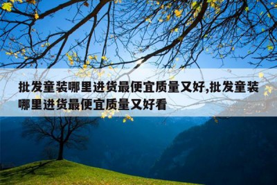 批发童装哪里进货最便宜质量又好,批发童装哪里进货最便宜质量又好看