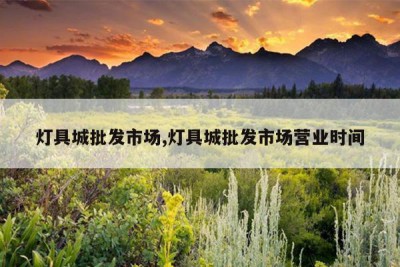 灯具城批发市场,灯具城批发市场营业时间