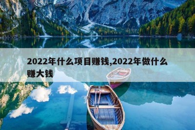 2022年什么项目赚钱,2022年做什么赚大钱