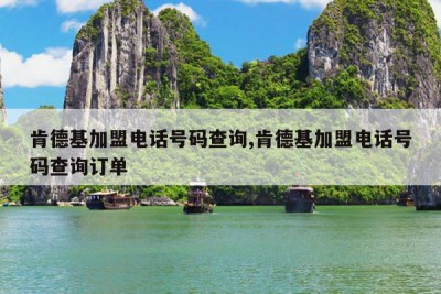 肯德基加盟电话号码查询,肯德基加盟电话号码查询订单