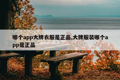 哪个app大牌衣服是正品,大牌服装哪个app是正品