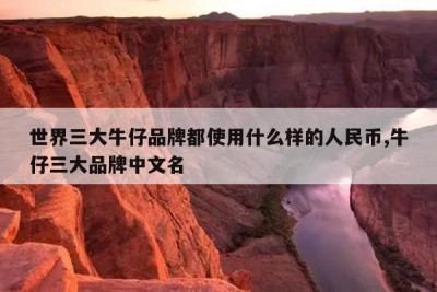 世界三大牛仔品牌都使用什么样的人民币,牛仔三大品牌中文名