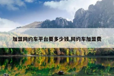 加盟网约车平台要多少钱,网约车加盟费