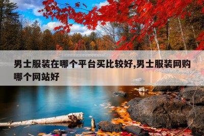 男士服装在哪个平台买比较好,男士服装网购哪个网站好