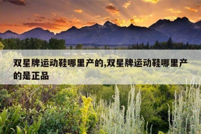 双星牌运动鞋哪里产的,双星牌运动鞋哪里产的是正品