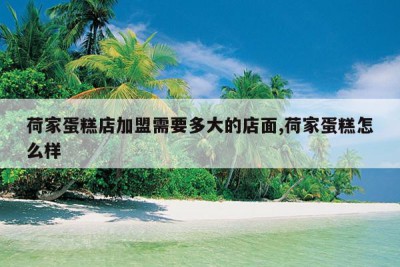 荷家蛋糕店加盟需要多大的店面,荷家蛋糕怎么样