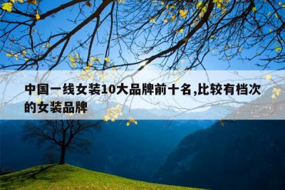 中国一线女装10大品牌前十名,比较有档次的女装品牌