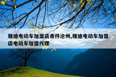 雅迪电动车加盟店条件沧州,雅迪电动车加盟店电动车加盟代理