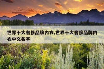 世界十大奢侈品牌内衣,世界十大奢侈品牌内衣中文名字