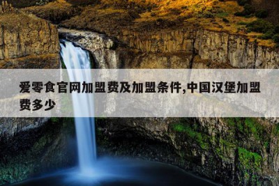 爱零食官网加盟费及加盟条件,中国汉堡加盟费多少