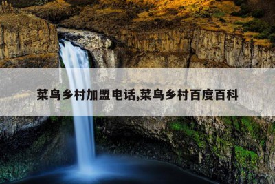 菜鸟乡村加盟电话,菜鸟乡村百度百科