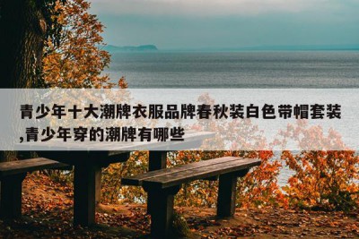 青少年十大潮牌衣服品牌春秋装白色带帽套装,青少年穿的潮牌有哪些
