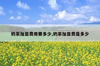 奶茶加盟费用要多少,奶茶加盟费是多少