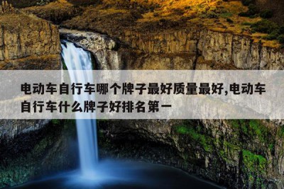 电动车自行车哪个牌子最好质量最好,电动车自行车什么牌子好排名第一