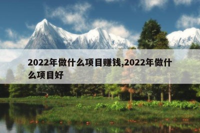 2022年做什么项目赚钱,2022年做什么项目好