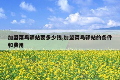 加盟菜鸟驿站要多少钱,加盟菜鸟驿站的条件和费用