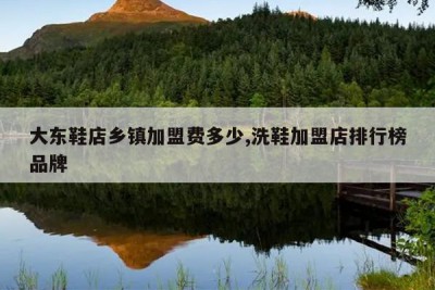 大东鞋店乡镇加盟费多少,洗鞋加盟店排行榜品牌