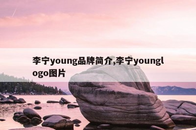 李宁young品牌简介,李宁younglogo图片
