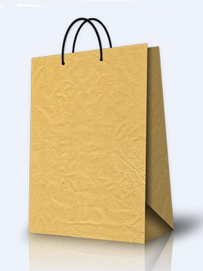 种类二：纸类购物袋